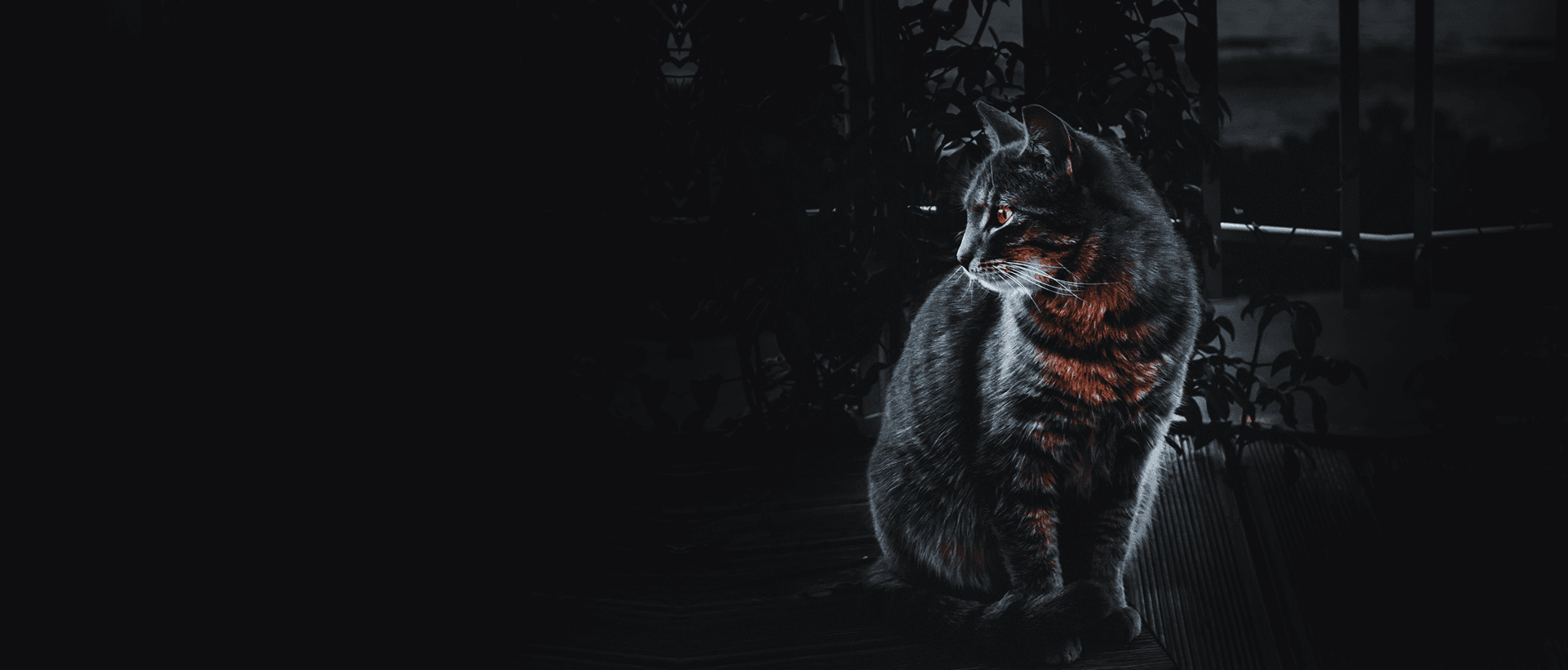 NestJS: Express ve Angular benzerliğiyle Node.js'i yeniden tanımlayan bir framework